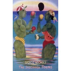 Bloodaxe Books Ltd The Insomnia Poems Bloodaxe Books Ltd The Insomnia Poems