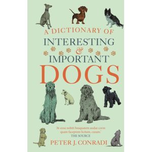 Octopus Publishing Group A Dictionary Of Interesting And Important Dogs : A Wonderful And Witty Homage To Man'S Most Faithful Friend Octopus Publishing Group A Dictionary Of Interesting And Important Dogs : A Wonderful And Witty Homage To Man'S Most Faithful Friend