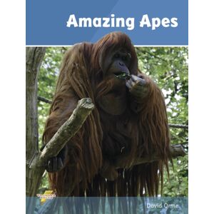 Ransom Publishing Amazing Apes : Set 2 Ransom Publishing Amazing Apes : Set 2