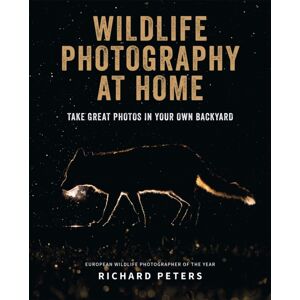 Octopus Publishing Group Wildlife Photography At Home Octopus Publishing Group Wildlife Photography At Home