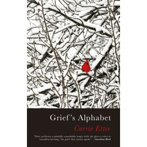 Poetry Wales Press Grief’s Alphabet Poetry Wales Press Grief’s Alphabet