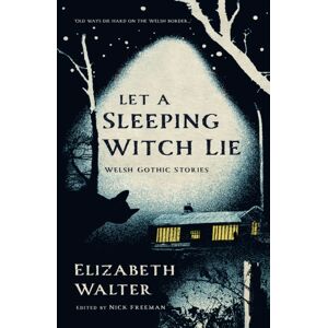 Poetry Wales Press Let A Sleeping Witch Lie : Welsh Gothic Stories By Elizabeth Walter Poetry Wales Press Let A Sleeping Witch Lie : Welsh Gothic Stories By Elizabeth Walter