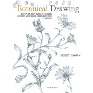 Search Press Ltd Botanical Drawing : A Step-By-Step Guide To Drawing Flowers, Vegetables, Fruit And Other Plant Life Search Press Ltd Botanical Drawing : A Step-By-Step Guide To Drawing Flowers, Vegetables, Fruit And Other Plant Life