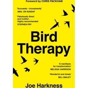 Wilton Square Books Bird Therapy Wilton Square Books Bird Therapy