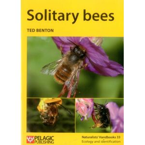 Pelagic Publishing Solitary Bees Pelagic Publishing Solitary Bees