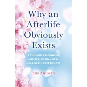 Collective Ink Why An Afterlife Obviously Exists – A Thought Experiment And Realer Than Real Near–death Experiences Collective Ink Why An Afterlife Obviously Exists – A Thought Experiment And Realer Than Real Near–death Experiences