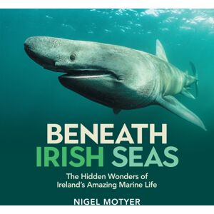 Merrion Press Beneath Irish Seas : The Hidden Wonders Of Ireland’s Amazing Marine Life Merrion Press Beneath Irish Seas : The Hidden Wonders Of Ireland’s Amazing Marine Life