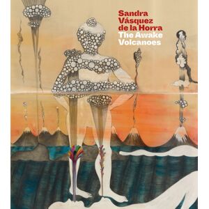 Scala Arts & Heritage Publishers Ltd Sandra Vasquez De La Horra : The Awake Volcanoes Scala Arts & Heritage Publishers Ltd Sandra Vasquez De La Horra : The Awake Volcanoes