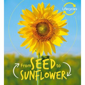 Quarto Publishing PLC Lifecycles: Seed To Sunflower Quarto Publishing PLC Lifecycles: Seed To Sunflower
