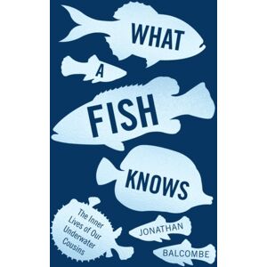 Oneworld Publications What A Fish Knows : The Inner Lives Of Our Underwater Cousins Oneworld Publications What A Fish Knows : The Inner Lives Of Our Underwater Cousins
