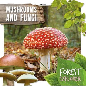 BookLife Publishing Mushrooms & Fungi BookLife Publishing Mushrooms & Fungi