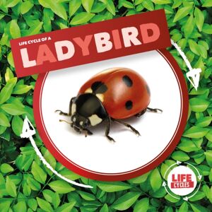 BookLife Publishing Ladybird BookLife Publishing Ladybird