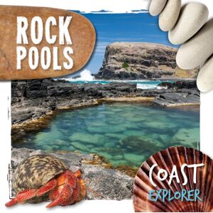 BookLife Publishing Rock Pools BookLife Publishing Rock Pools
