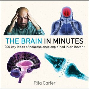 Quercus Publishing The Brain In Minutes Quercus Publishing The Brain In Minutes