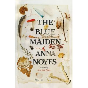 Atlantic Books The Blue Maiden : A Dazzling Feminist Gothic About Witches, Loss And Resilience Atlantic Books The Blue Maiden : A Dazzling Feminist Gothic About Witches, Loss And Resilience