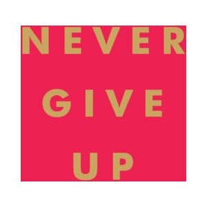 Octopus Publishing Group Never Give Up : Inspirational Quotes For Instant Motivation Octopus Publishing Group Never Give Up : Inspirational Quotes For Instant Motivation