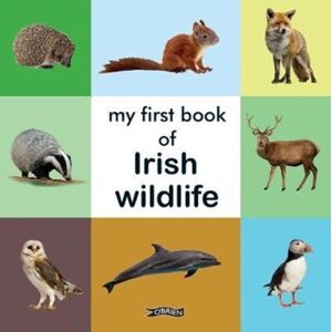 O'Brien Press Ltd My First Book Of Irish Wildlife O'Brien Press Ltd My First Book Of Irish Wildlife