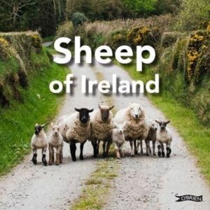 O'Brien Press Ltd Sheep Of Ireland O'Brien Press Ltd Sheep Of Ireland