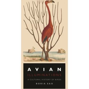 Reaktion Books Avian Illuminations : A Cultural History Of Birds Reaktion Books Avian Illuminations : A Cultural History Of Birds