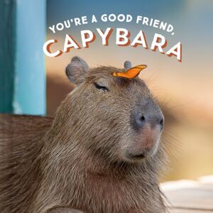 Chronicle Books You'Re A Good Friend, Capybara Chronicle Books You'Re A Good Friend, Capybara