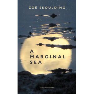 Carcanet Press Ltd A Marginal Sea Carcanet Press Ltd A Marginal Sea