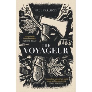 Swift Press The Voyageur : 'A Marvellous Work Of Art' John Banville Swift Press The Voyageur : 'A Marvellous Work Of Art' John Banville