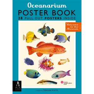 Templar Books Oceanarium Poster Book Templar Books Oceanarium Poster Book