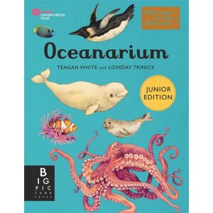 Templar Books Oceanarium (Junior Edition) Templar Books Oceanarium (Junior Edition)