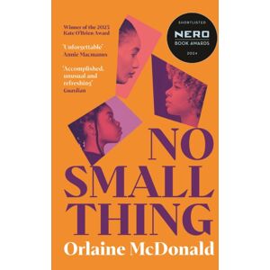 Profile Books Ltd No Small Thing : 'One Of The Debut Novels I’ve Read In Recent Years' Bernardine Evaristo Profile Books Ltd No Small Thing : 'One Of The Debut Novels I’ve Read In Recent Years' Bernardine Evaristo
