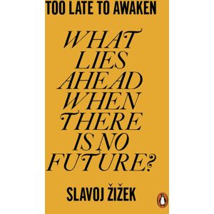 Penguin Books Ltd Too Late To Awaken : What Lies Ahead When There Is No Future? Penguin Books Ltd Too Late To Awaken : What Lies Ahead When There Is No Future?
