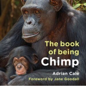 Graffeg Limited The Book Of Being Chimp Graffeg Limited The Book Of Being Chimp