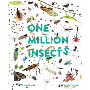 Hachette Children's Group One Million Insects Hachette Children's Group One Million Insects