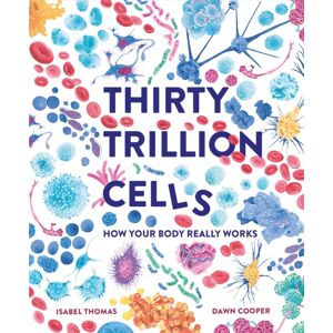 Hachette Children's Group Thirty Trillion Cells : How Your Body Really Works Hachette Children's Group Thirty Trillion Cells : How Your Body Really Works