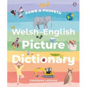 Rily Publications Ltd Pawb A Phopeth - Welsh / English Picture Dictionary Rily Publications Ltd Pawb A Phopeth - Welsh / English Picture Dictionary
