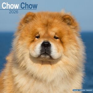Avonside Publishing Ltd Chow Chow Calendar 2026 Square Dog Breed Wall Calendar - 16 Month Avonside Publishing Ltd Chow Chow Calendar 2026 Square Dog Breed Wall Calendar - 16 Month