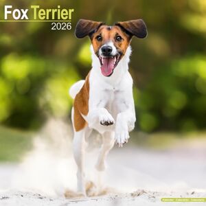 Avonside Publishing Ltd Fox Terrier Calendar 2026 Square Dog Breed Wall Calendar - 16 Month Avonside Publishing Ltd Fox Terrier Calendar 2026 Square Dog Breed Wall Calendar - 16 Month