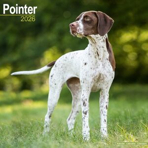 Avonside Publishing Ltd Pointer Calendar 2026 Square Dog Breed Wall Calendar - 16 Month Avonside Publishing Ltd Pointer Calendar 2026 Square Dog Breed Wall Calendar - 16 Month