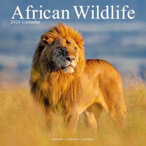 Avonside Publishing Ltd African Wildlife Calendar 2026 Square Wildlife Safari Wall Calendar - 16 Month Avonside Publishing Ltd African Wildlife Calendar 2026 Square Wildlife Safari Wall Calendar - 16 Month
