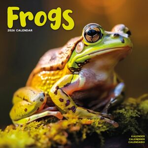 Avonside Publishing Ltd Frogs Calendar 2026 Square Animal Wall Calendar - 16 Month Avonside Publishing Ltd Frogs Calendar 2026 Square Animal Wall Calendar - 16 Month