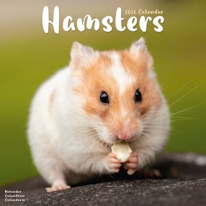 Avonside Publishing Ltd Hamsters Calendar 2026 Square Animal Wall Calendar - 16 Month Avonside Publishing Ltd Hamsters Calendar 2026 Square Animal Wall Calendar - 16 Month