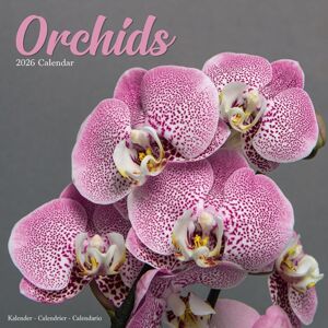 Avonside Publishing Ltd Orchids Calendar 2026 Square Flowers Wall Calendar - 16 Month Avonside Publishing Ltd Orchids Calendar 2026 Square Flowers Wall Calendar - 16 Month