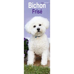 Avonside Publishing Ltd Bichon Frise Slim Calendar 2026 Dog Breed Slimline Calendar - 12 Month Avonside Publishing Ltd Bichon Frise Slim Calendar 2026 Dog Breed Slimline Calendar - 12 Month
