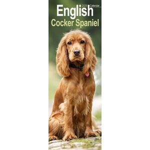 Avonside Publishing Ltd English Cocker Spaniel Slim Calendar 2026 Dog Breed Slimline Calendar - 12 Month Avonside Publishing Ltd English Cocker Spaniel Slim Calendar 2026 Dog Breed Slimline Calendar - 12 Month