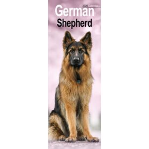 Avonside Publishing Ltd German Shepherd Slim Calendar 2026 Dog Breed Slimline Calendar - 12 Month Avonside Publishing Ltd German Shepherd Slim Calendar 2026 Dog Breed Slimline Calendar - 12 Month
