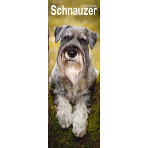 Avonside Publishing Ltd Schnauzer Slim Calendar 2026 Dog Breed Slimline Calendar - 12 Month Avonside Publishing Ltd Schnauzer Slim Calendar 2026 Dog Breed Slimline Calendar - 12 Month