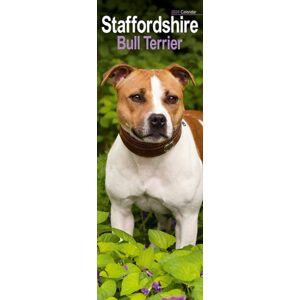 Avonside Publishing Ltd Staffordshire Bull Terrier Slim Calendar 2026 Dog Breed Slimline Calendar - 12 Month Avonside Publishing Ltd Staffordshire Bull Terrier Slim Calendar 2026 Dog Breed Slimline Calendar - 12 Month