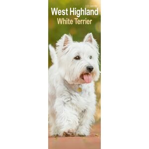 Avonside Publishing Ltd West Highland Terrier Slim Calendar 2026 Dog Breed Slimline Calendar - 12 Month Avonside Publishing Ltd West Highland Terrier Slim Calendar 2026 Dog Breed Slimline Calendar - 12 Month