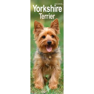 Avonside Publishing Ltd Yorkshire Terrier Slim Calendar 2026 Dog Breed Slimline Calendar - 12 Month Avonside Publishing Ltd Yorkshire Terrier Slim Calendar 2026 Dog Breed Slimline Calendar - 12 Month
