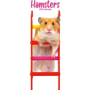 Avonside Publishing Ltd Hamsters Slim Calendar 2026 Cute Slimline Calendar - 12 Month Avonside Publishing Ltd Hamsters Slim Calendar 2026 Cute Slimline Calendar - 12 Month