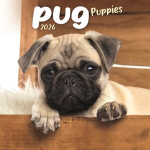 CAROUSEL CALENDARS 2026 Pug Puppies Square Mini Calendar 2026 CAROUSEL CALENDARS 2026 Pug Puppies Square Mini Calendar 2026